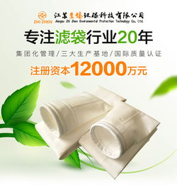 氟美斯滤袋 江苏至臻环保 氟美斯滤袋报价高清图片 高清大图
